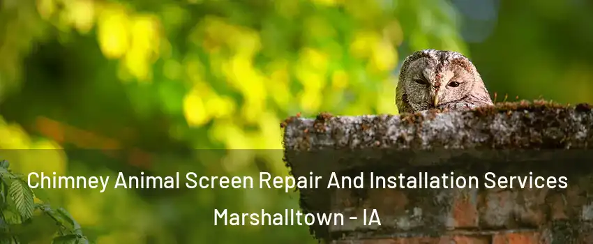  Chimney Animal Screen Repair And Installation Services Marshalltown - IA