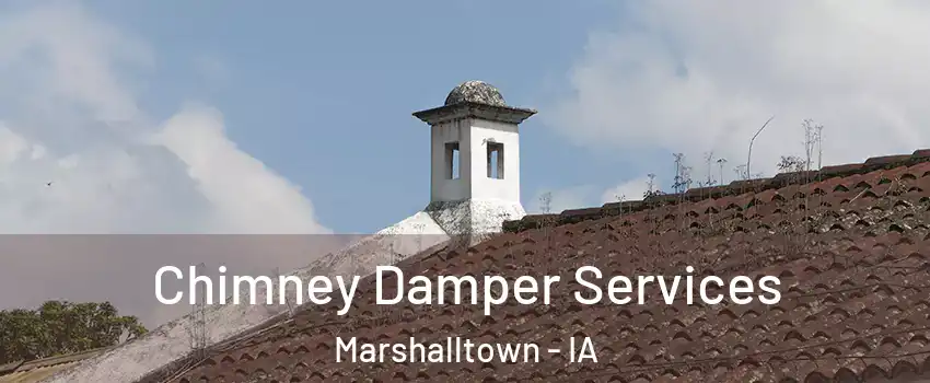  Chimney Damper Services Marshalltown - IA