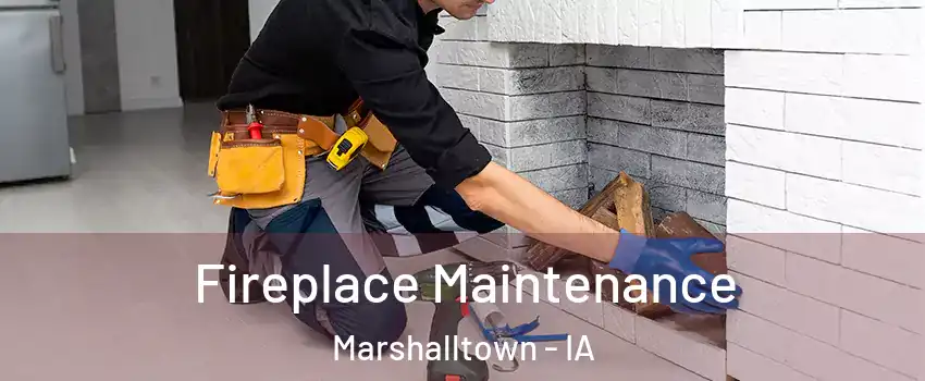  Fireplace Maintenance Marshalltown - IA
