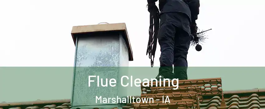  Flue Cleaning Marshalltown - IA