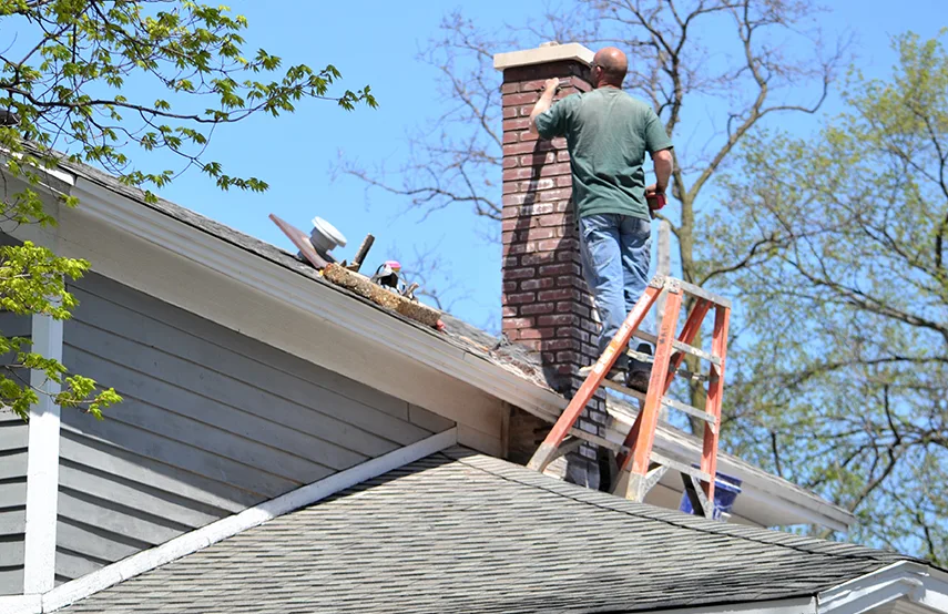 Chimney & Fireplace Inspections Services in Marshalltown, IA