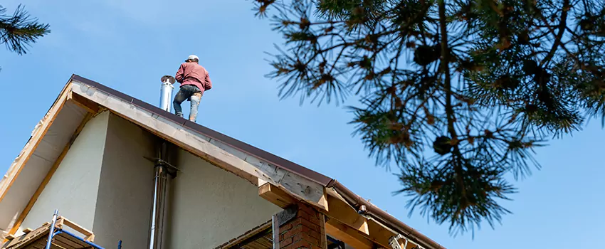 Birds Removal Contractors from Chimney in Marshalltown, IA