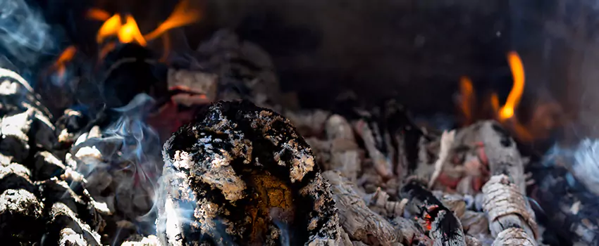 Creosote Removal Experts in Marshalltown, IA