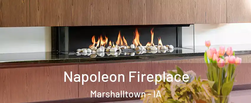  Napoleon Fireplace Marshalltown - IA
