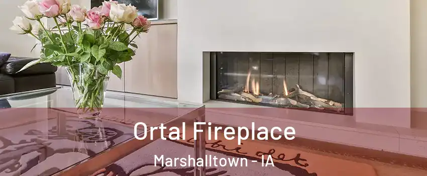 Ortal Fireplace Marshalltown - IA